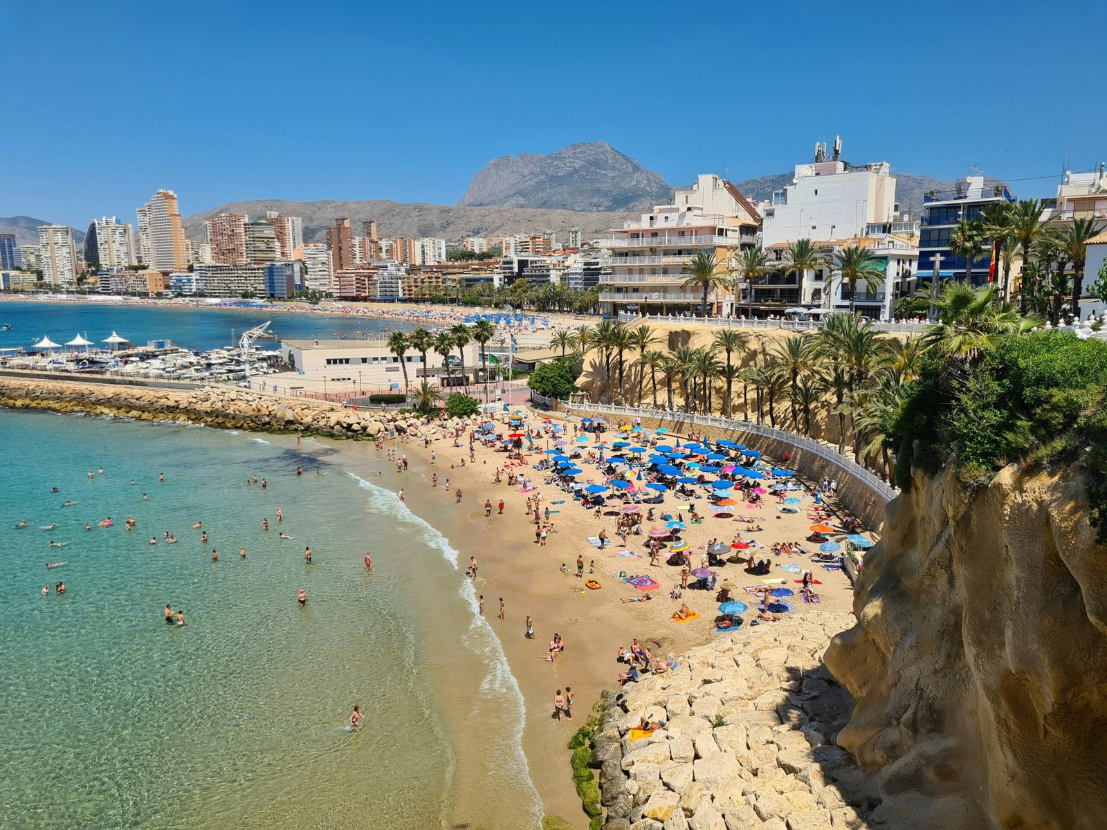 Alicante skyline and harbour